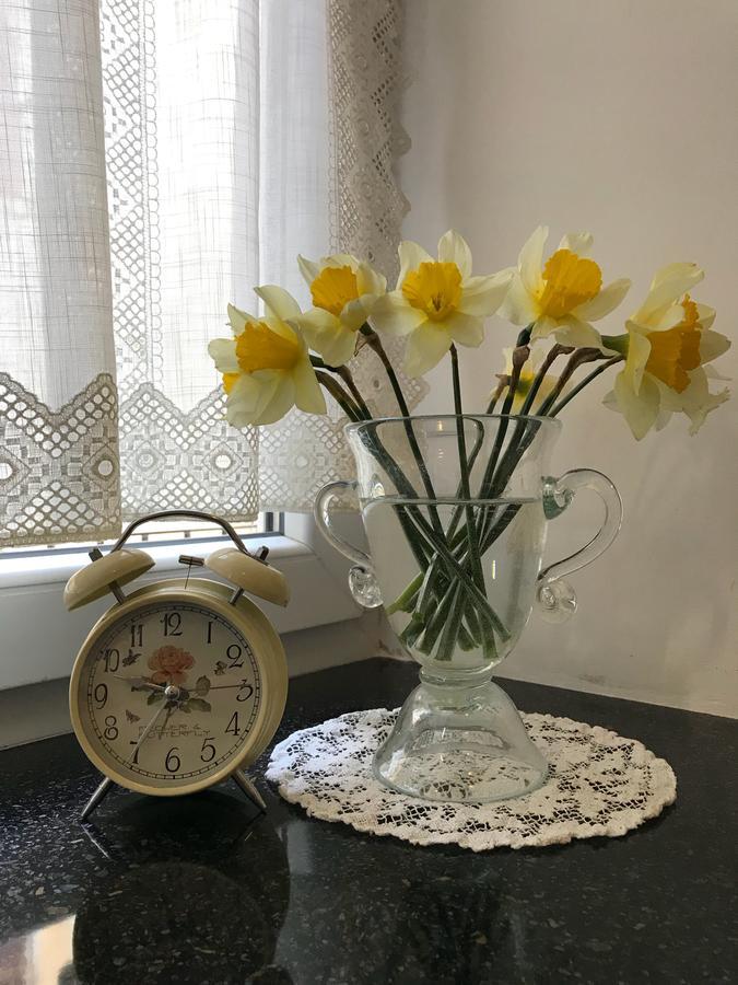 Apartment Natalya Lviv Dış mekan fotoğraf